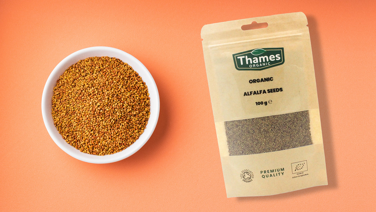 Organic Alfalfa Seeds
