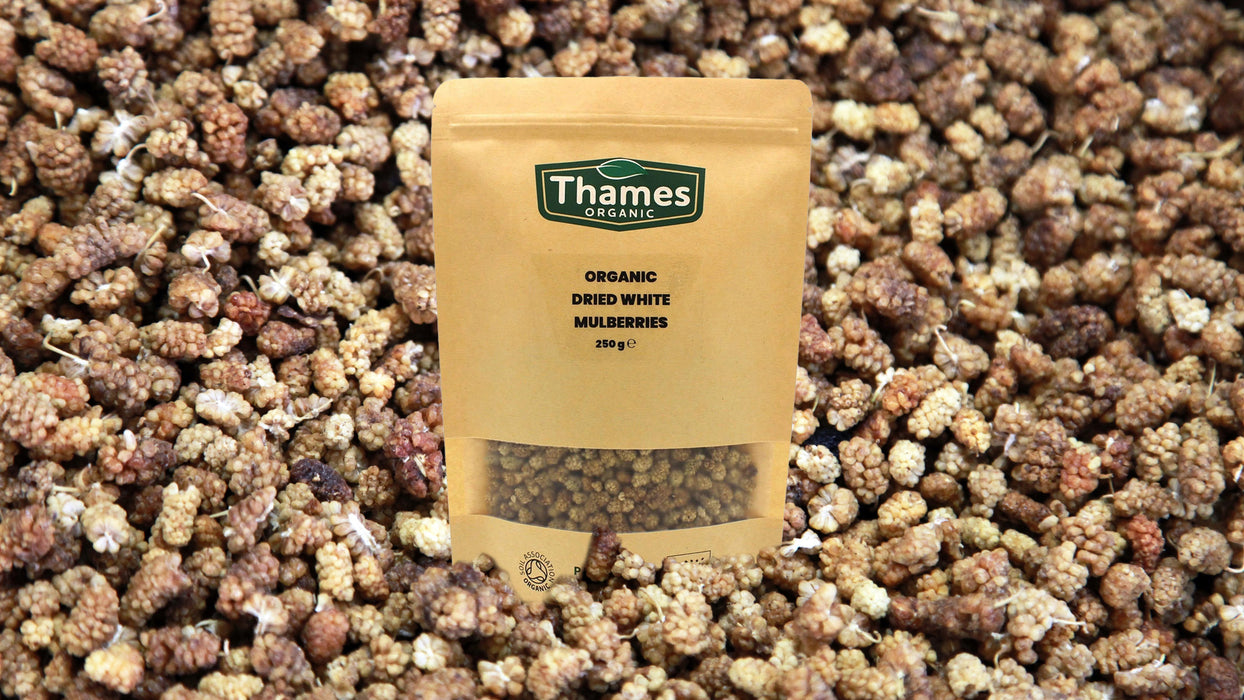 Organic Dried White Mulberries
