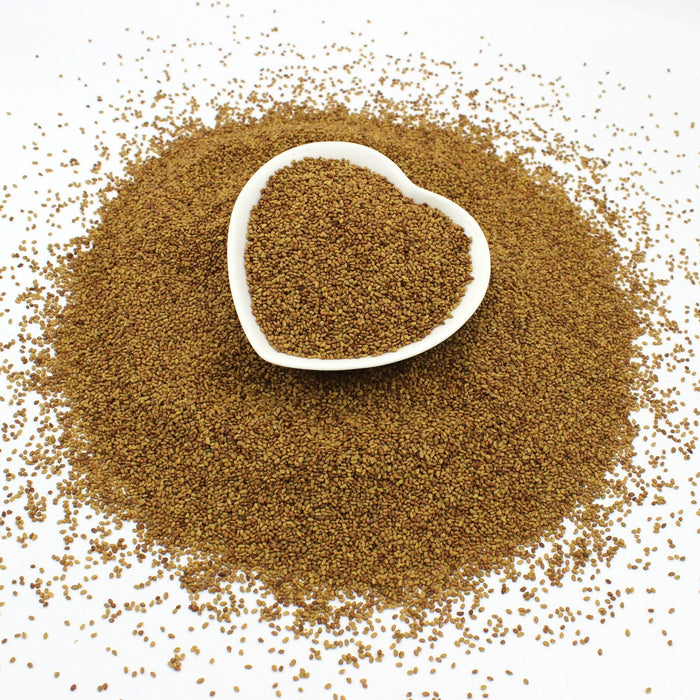 Organic Alfalfa Seeds