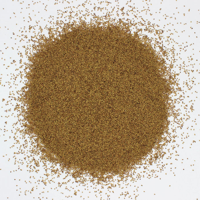 Organic Alfalfa Seeds