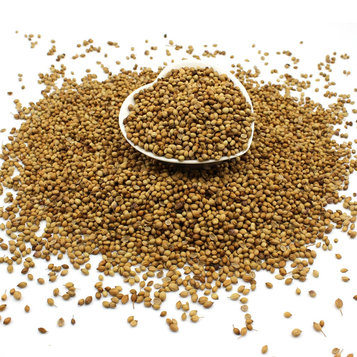 Organic Coriander Seeds