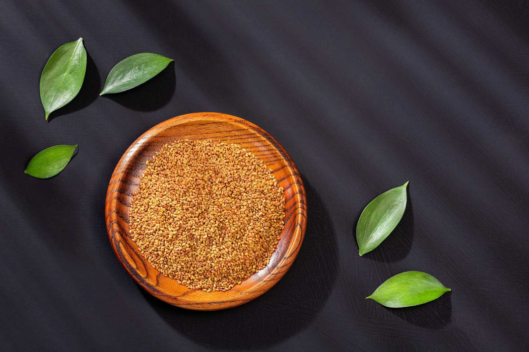 Organic Alfalfa Seeds