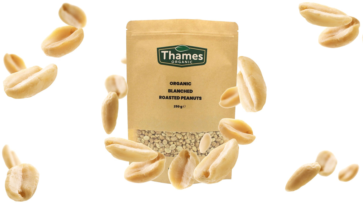 Organic Blanched Roasted Peanuts