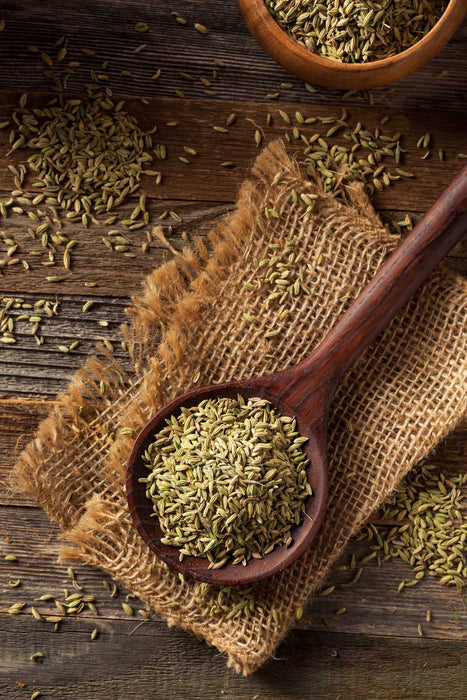 Organic Fennel Seeds