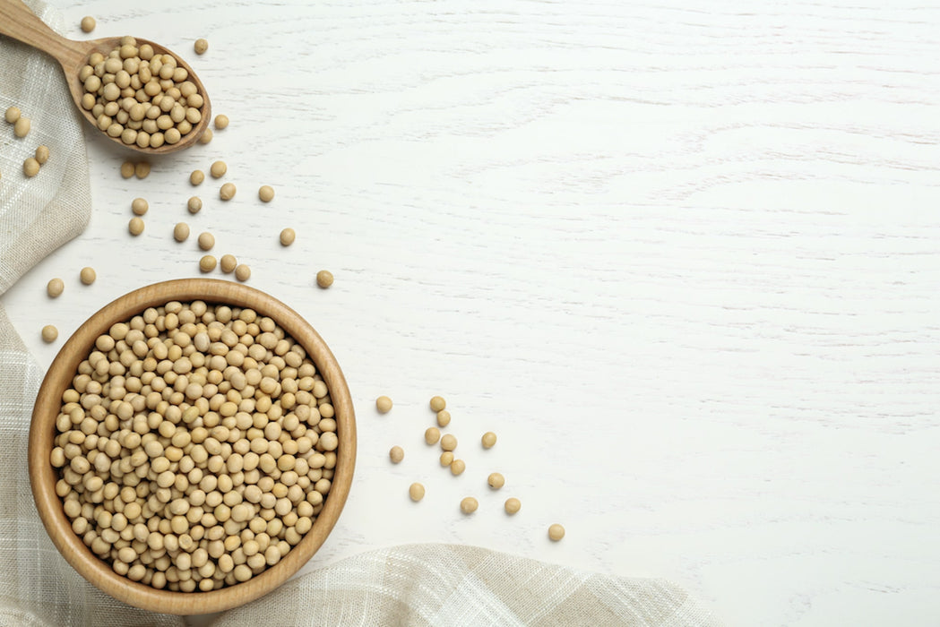 Organic Soya Beans