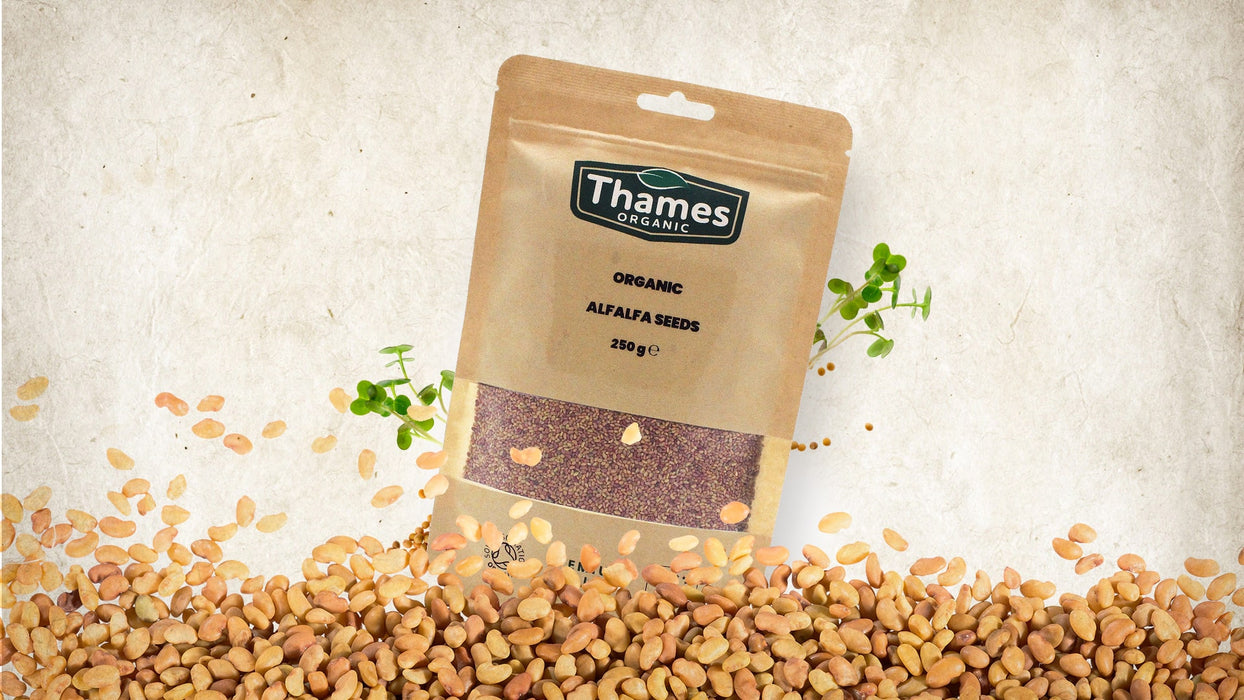 Organic Alfalfa Seeds