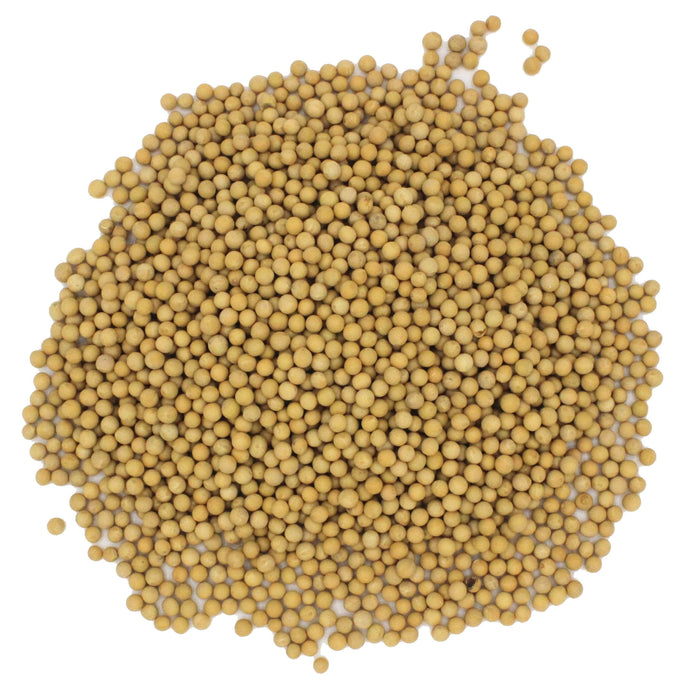 Organic Soya Beans