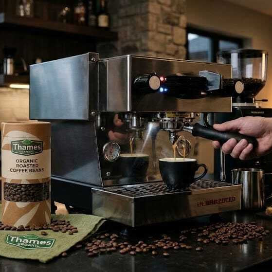 Arabica vs Robusta Coffee Beans: What Changes in Flavour, Body and Caffeine?