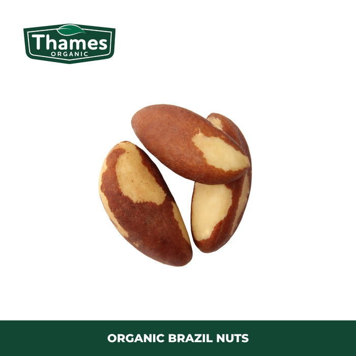 Organic Brazil Nuts