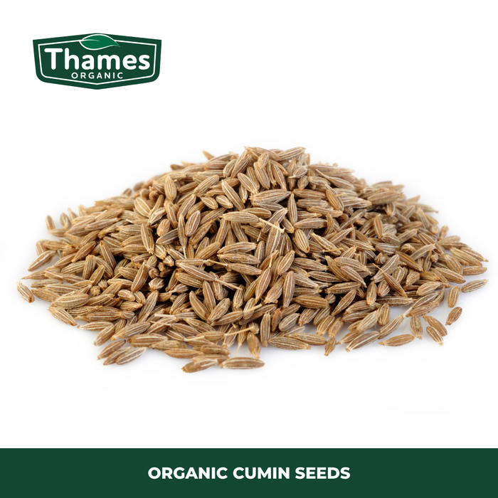 Organic Cumin Seeds
