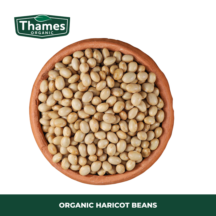 Organic Haricot Beans