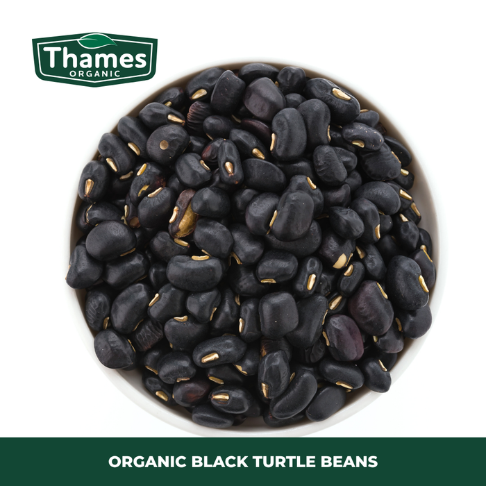 Organic Black Turtle Beans