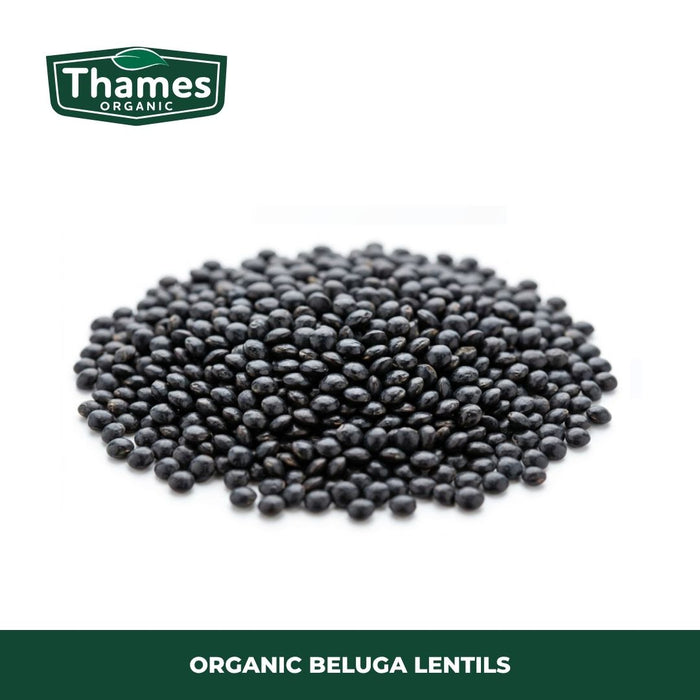 Organic Beluga Lentils