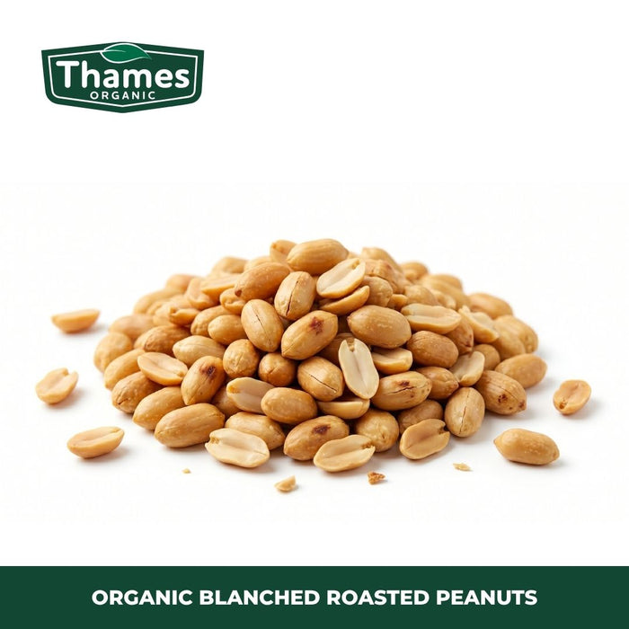Organic Blanched Roasted Peanuts
