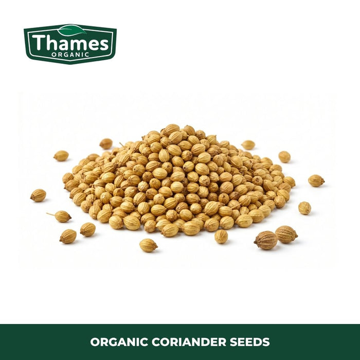 Organic Coriander Seeds