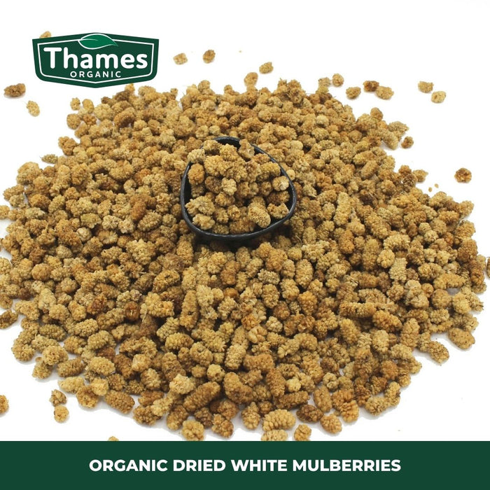 Organic Dried White Mulberries