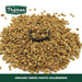 Organic Dried White Mulberries