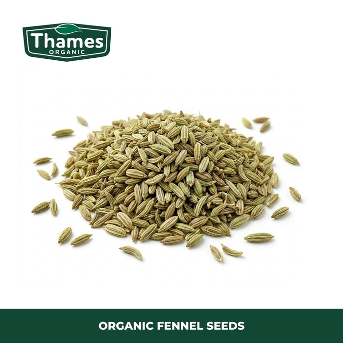 Organic Fennel Seeds