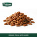 Organic Pecan Nuts Halves