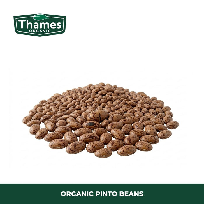 Organic Pinto Beans
