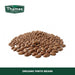 Organic Pinto Beans