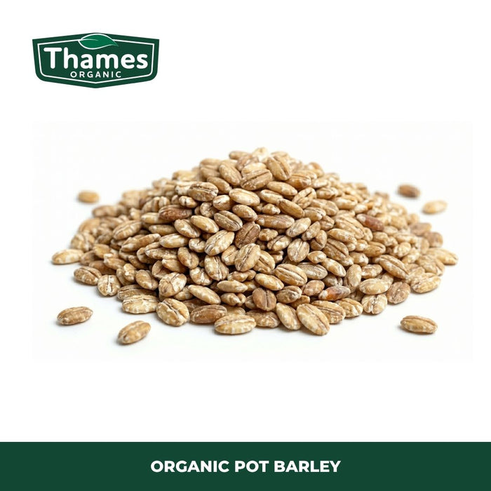 Organic Pot Barley