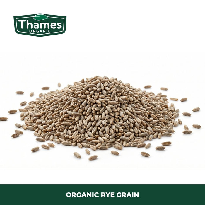 Organic Rye Grain