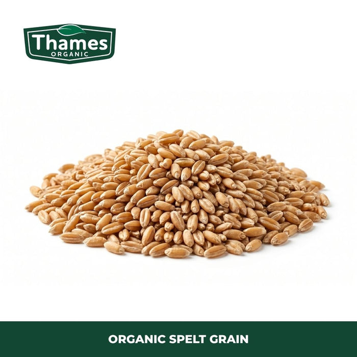 Organic Spelt Grain