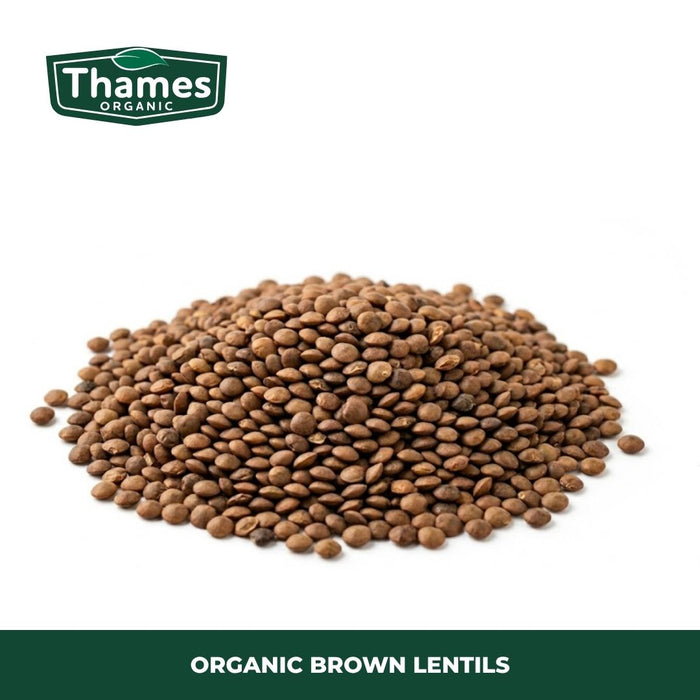 Organic Brown Lentils