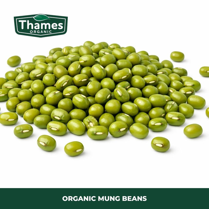 Organic Mung Beans
