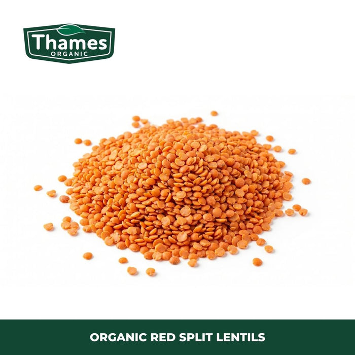 Organic Red Split Lentils