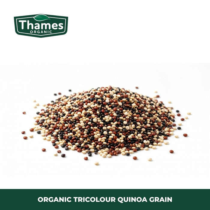 Organic Tricolour Quinoa Grain
