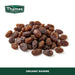 Organic Raisins