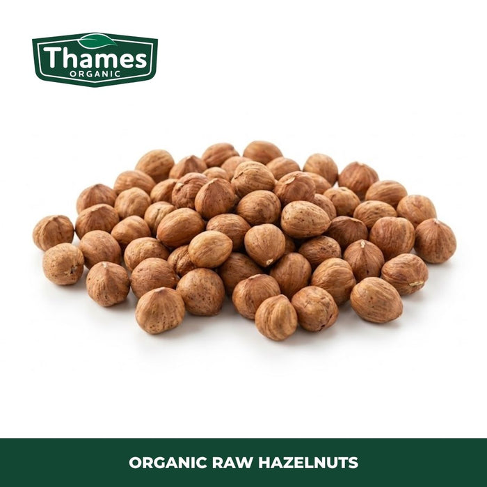 Organic Raw Hazelnuts
