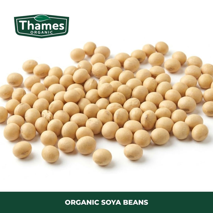 Organic Soya Beans