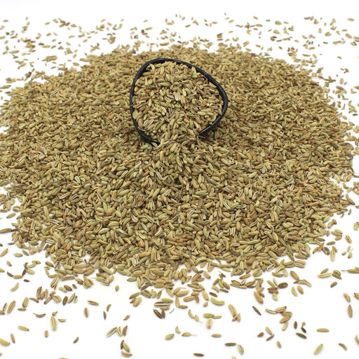 Organic Fennel Seeds