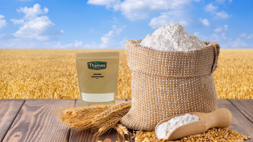 Organic Barley Flour