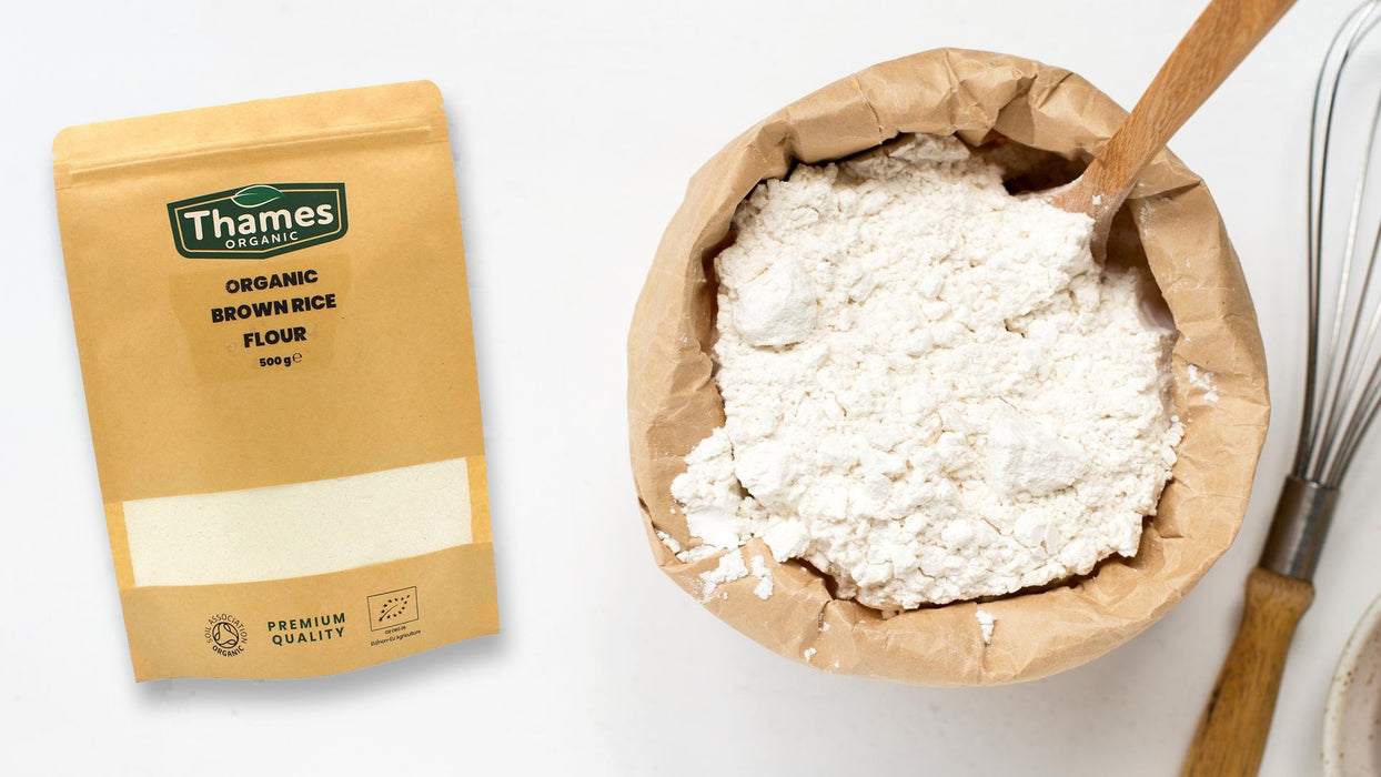 10 Best Rice Flour Substitute Ingredients - LemonsforLulu.com