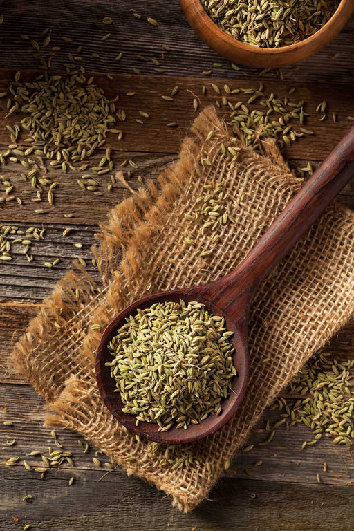 Organic Fennel Seeds