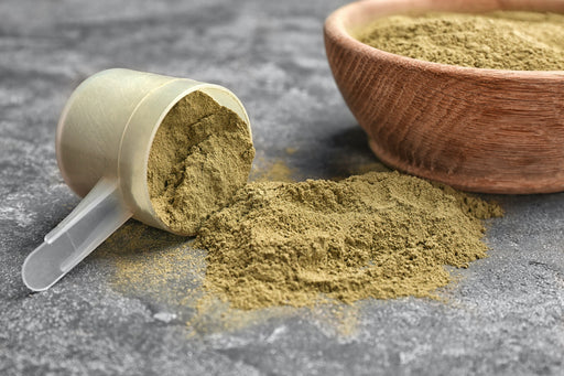 Organic Hemp Protein Powder