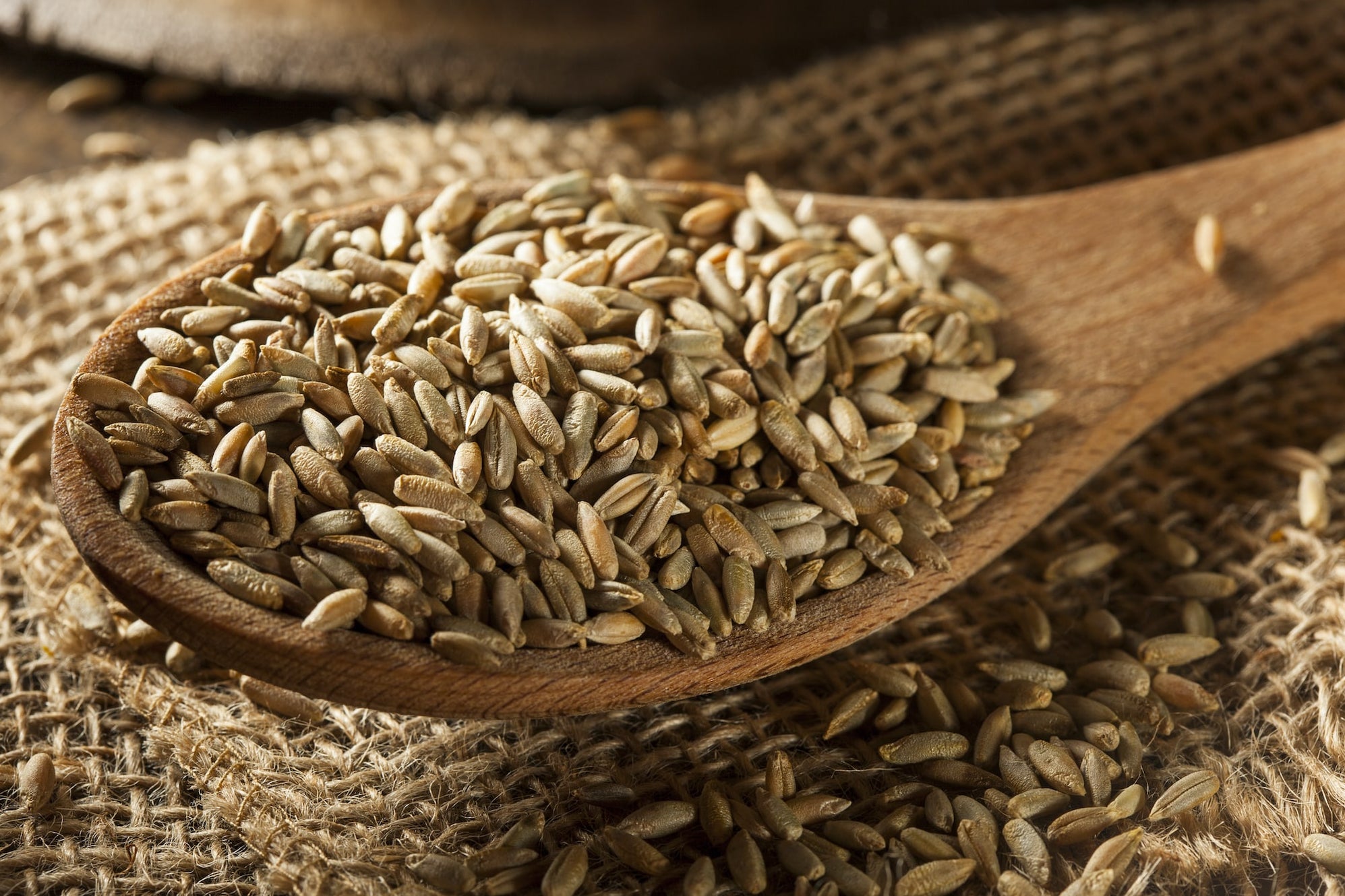 Organic Rye Grain — Thames Organic