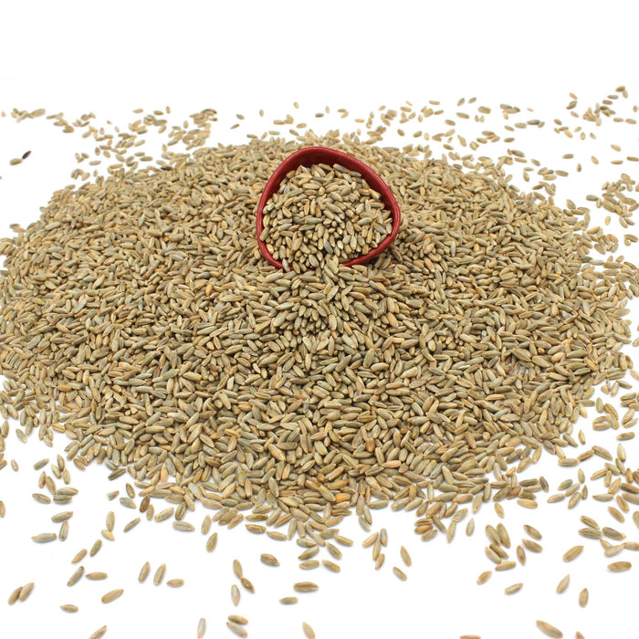 Organic Rye Grain