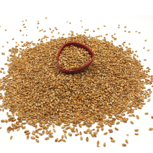 Organic Wheat Grain